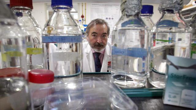 Salvador Martínez es director del Instituto de Neurociencias de Alicante.