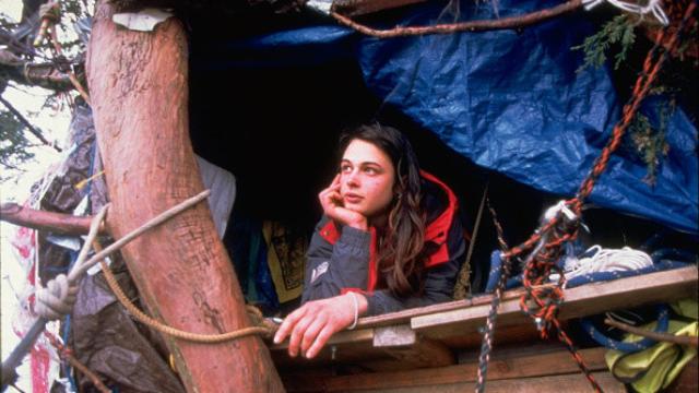 Julia Hill en lo alto de la secuoya milenaria donde vivió dos años.