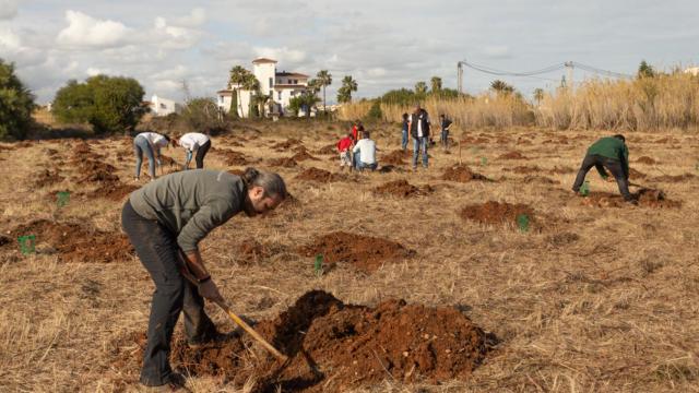 Plantación de árboles de Aedas Homes.