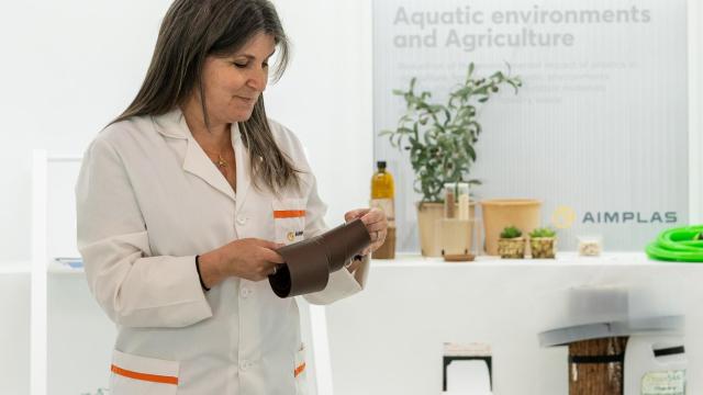 Proceso de fabricar a partir de restos de vid cajas de bioplástico para la comercialización de botellas de vino.