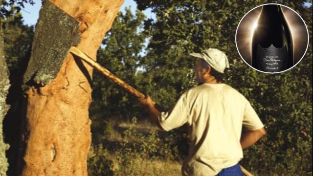 El exclusivo champán Dom Perignon y los trabajos en el alcornocal, en un montaje de EL ESPAÑOL.