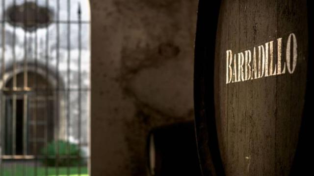 Un palo cortado de una bota única