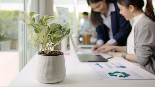 “Sabemos adónde vamos”: mujeres empresarias en la agenda 2030
