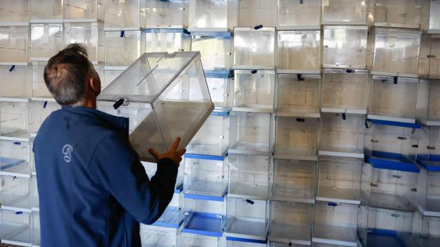 Urnas preparadas para una cita electoral.