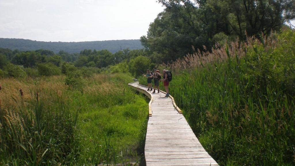 Pochuck Boardwalk, EEUU.