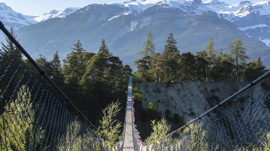 Puente en ruta senderista.