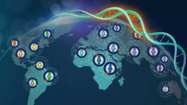 Representación del genoma ancestral diverso. Darryl Leja, National Human Genome Research Institute.