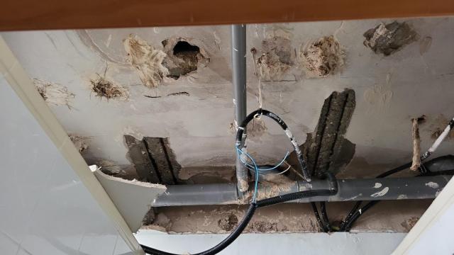 Imagen del techo de un aseo al descubierto en el CEIP Juan Ramón Jiménez de Triana.