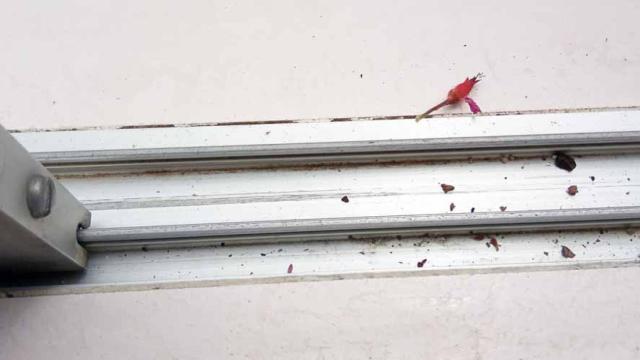 El truco del rotulador para limpiar los rieles de las ventanas correderas.