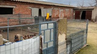 GALINERO Y PUERTA DE ENTRADA PLANTACIÓN