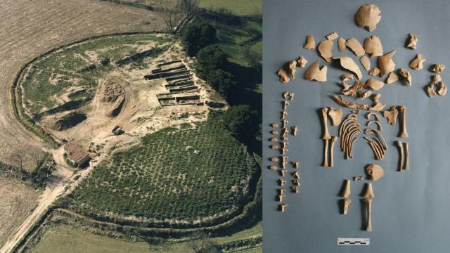Imagen aérea del yacimiento del Alto de la Cruz y restos de uno de los fetos/bebes con síndrome de Down.