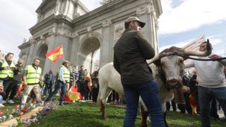 Los agricultores toman el centro de Madrid, en imágenes