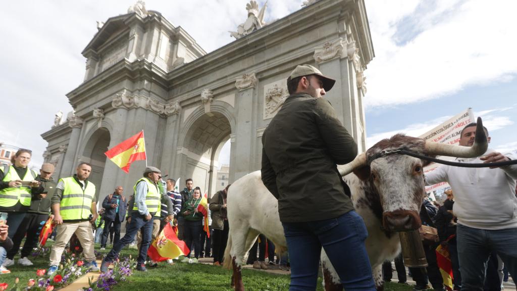 Los agricultores toman el centro de Madrid en la tractorada convocada por Unión de Uniones en 2024.