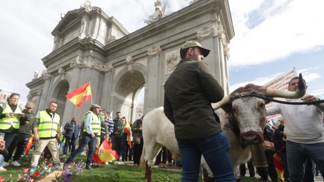 Los agricultores toman el centro de Madrid en la tractorada convocada por Unión de Uniones en 2024.