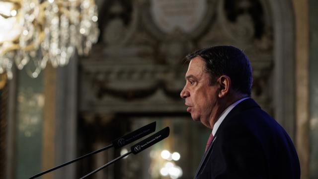 El ministro de Agricultura, Pesca y Alimentación, Luis Planas