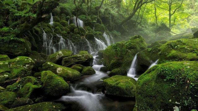 Esta desconocida cascada de Asturias es uno de los lugares más bonitos de la región: tiene 80 metros de altura