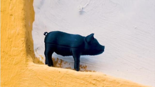 Uno de los cerditos del artista sevillano.