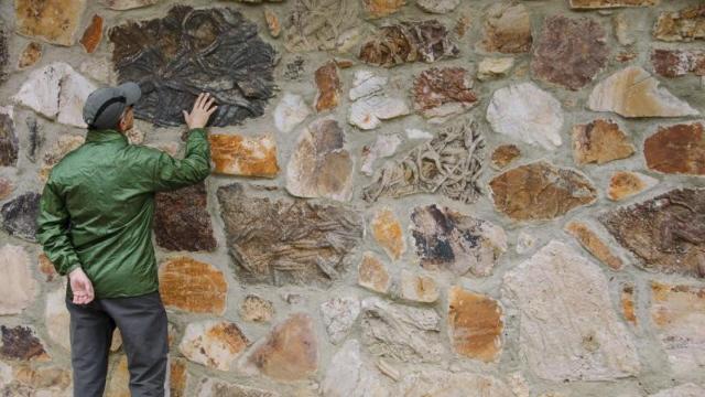 Ruta de los Fósiles Marinos de Monsagro