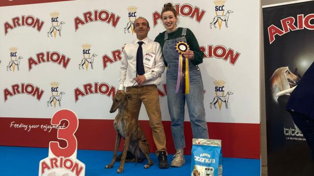 La cachorra Angustias del Valle Estrella en la feria Fimascota de Valladolid