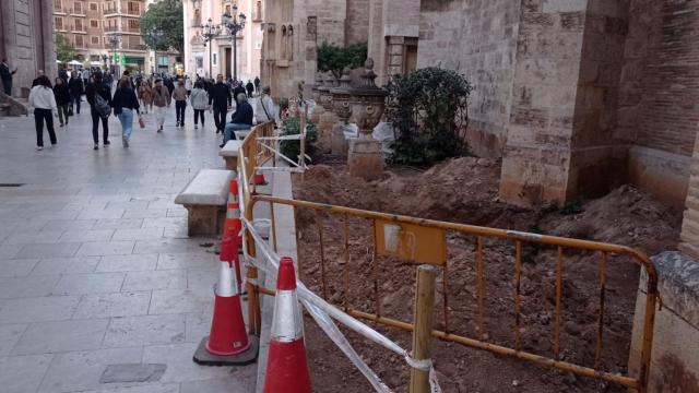 Las obras de retirada del arbolado en el exterior de la Catedral de Valencia. EE