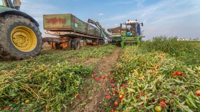 Agricultores, en una imagen de archivo.