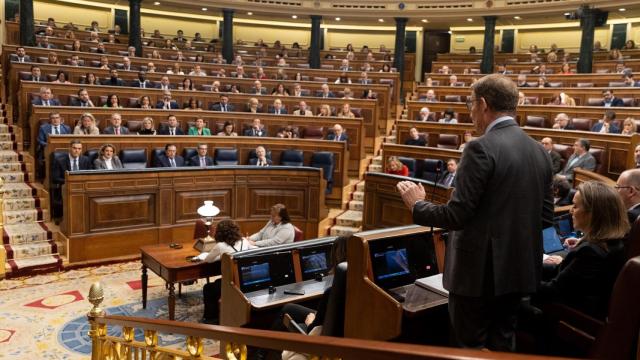 El presidente del PP, Alberto Núñez Feijóo, interviene durante una sesión de control al Gobierno, en el Congreso.