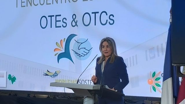 La delegada del Gobierno de España en Castilla-La Mancha, Milagros Tolón.