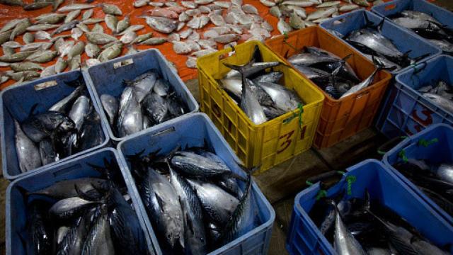 Imagen de archivo de una lonja.