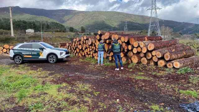 Parte del material incautado.