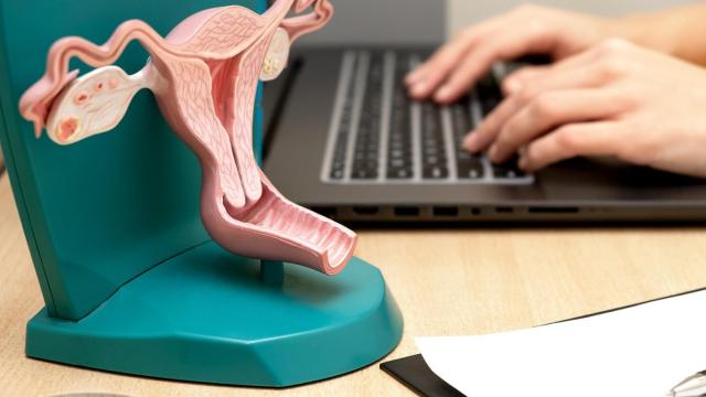 Servicio de Ginecología Quirónsalud Torrevieja.