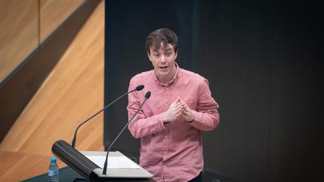 El portavoz adjunto de Más Madrid en el Ayuntamiento, Eduardo Fernández Rubiño.