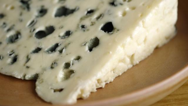 Un queso roquefort dispuesto para ser devorado.