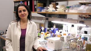 Eva Hernando Monge, profesora en la Universidad de Nueva York y directora de laboratorio del Departamento de Patología asociado al NYU Cancer Institute