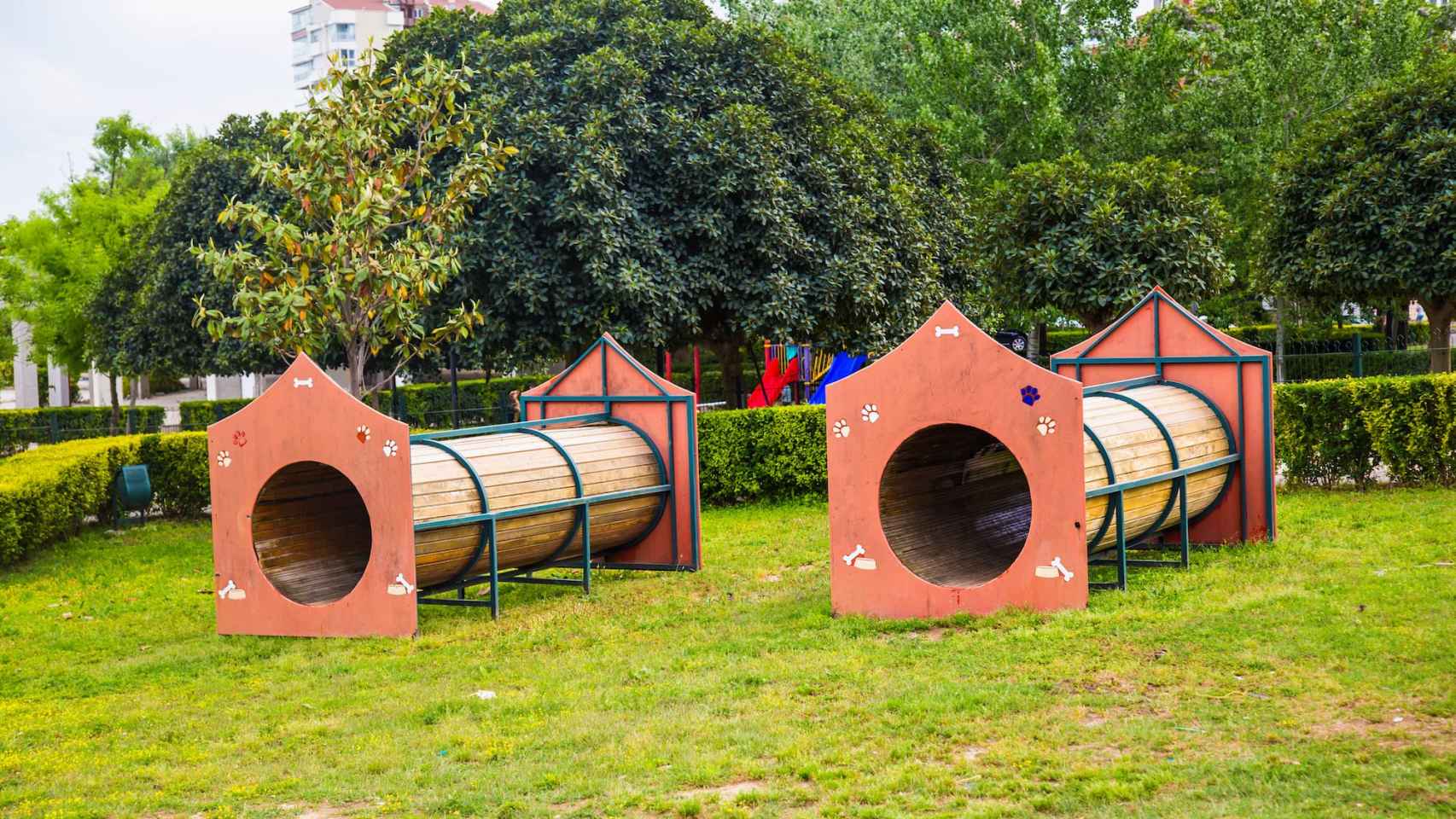 Parque para perros en una imagen de archivo.