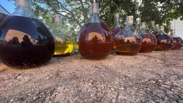 Rancis de El Priorat, las joyas recuperadas que envejecen en damajuanas durante años