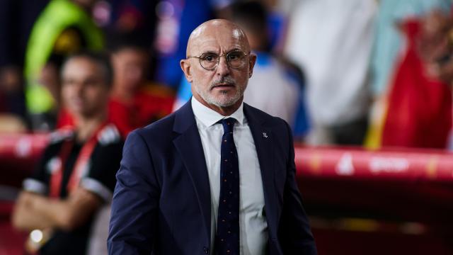Luis de la Fuente, en un partido de la Selección