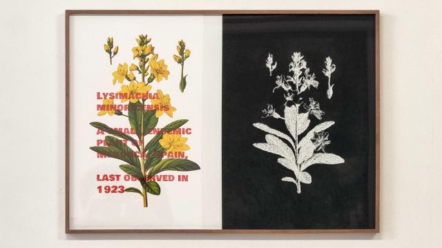 Daniel García Andújar: 'Last seen', 2023 (Galería Àngels Barcelona)