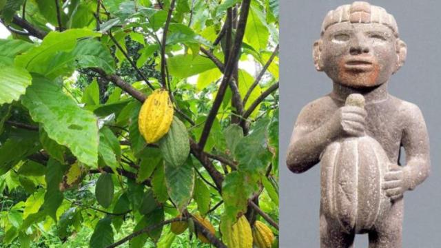 Montaje fotográfico de una planta de cacao junto a una estatuilla azteca de un hombre portando un grano de la misma planta