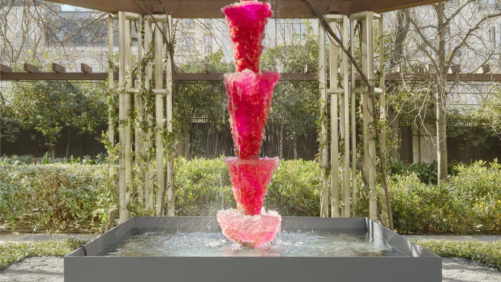 Pink Lady (For Asha) ( 2013)