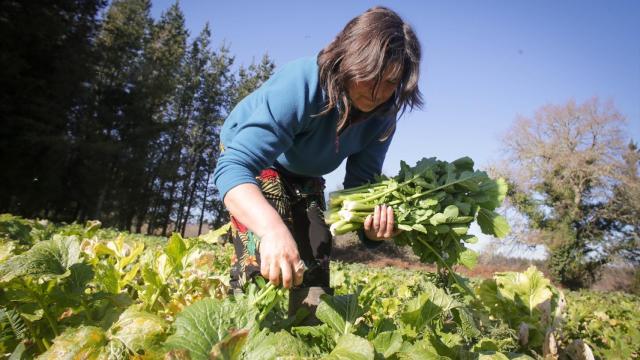 Imagen de archivo de una mujer trabajando en el campo (EP/Carlos Castro).