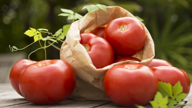 Los tomates tienen minerales y vitaminas beneficiosas para la salud.