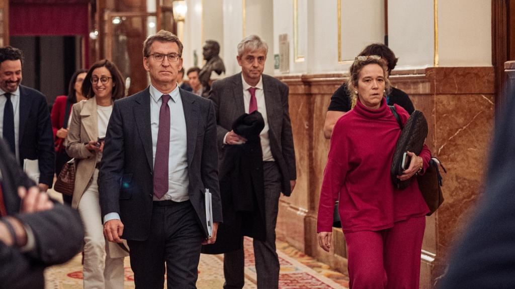 El líder del Partido Popular, Alberto Núñez Feijóo, en el Congreso de los Diputados.