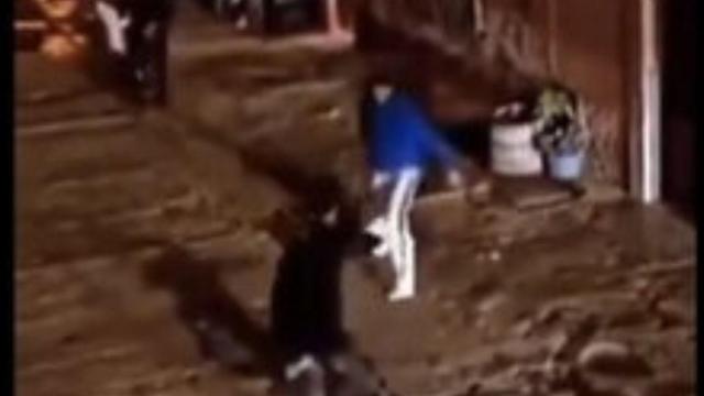 La pelea viral en redes