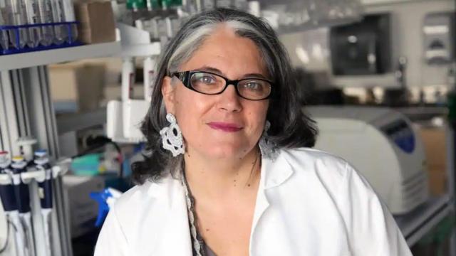 Fernández-Sesma es director del departamento de Microbiología en la Escuela Icahn de Medicina del Monte Sinaí.