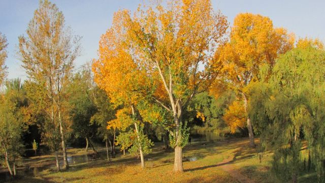 Zonas verdes municipales en la ciudad de Salamanca