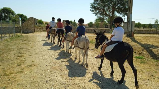 Unos niños pasean en los burros del Centro de Interpretación de la Naturaleza de Matallana