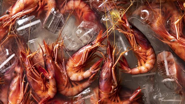 Un chef de Valladolid y otro de Madrid, entre los mejores que cocinan la Gamba Roja de Dénia