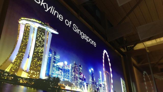 Aeropuerto Internacional de Singapur.
