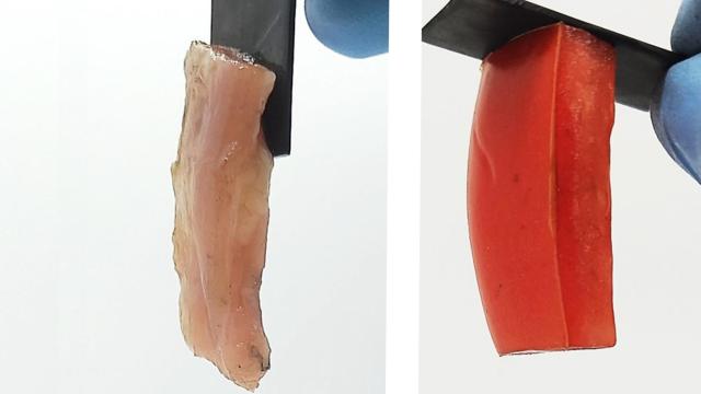 Un trozo de pollo y un pedazo de tomate pegados de manera permanente a una superficie dura gracias a una descarga eléctrica.