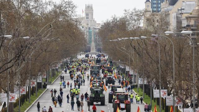 Agricultores y ganaderos participan en la tractorada de protesta en Madrid